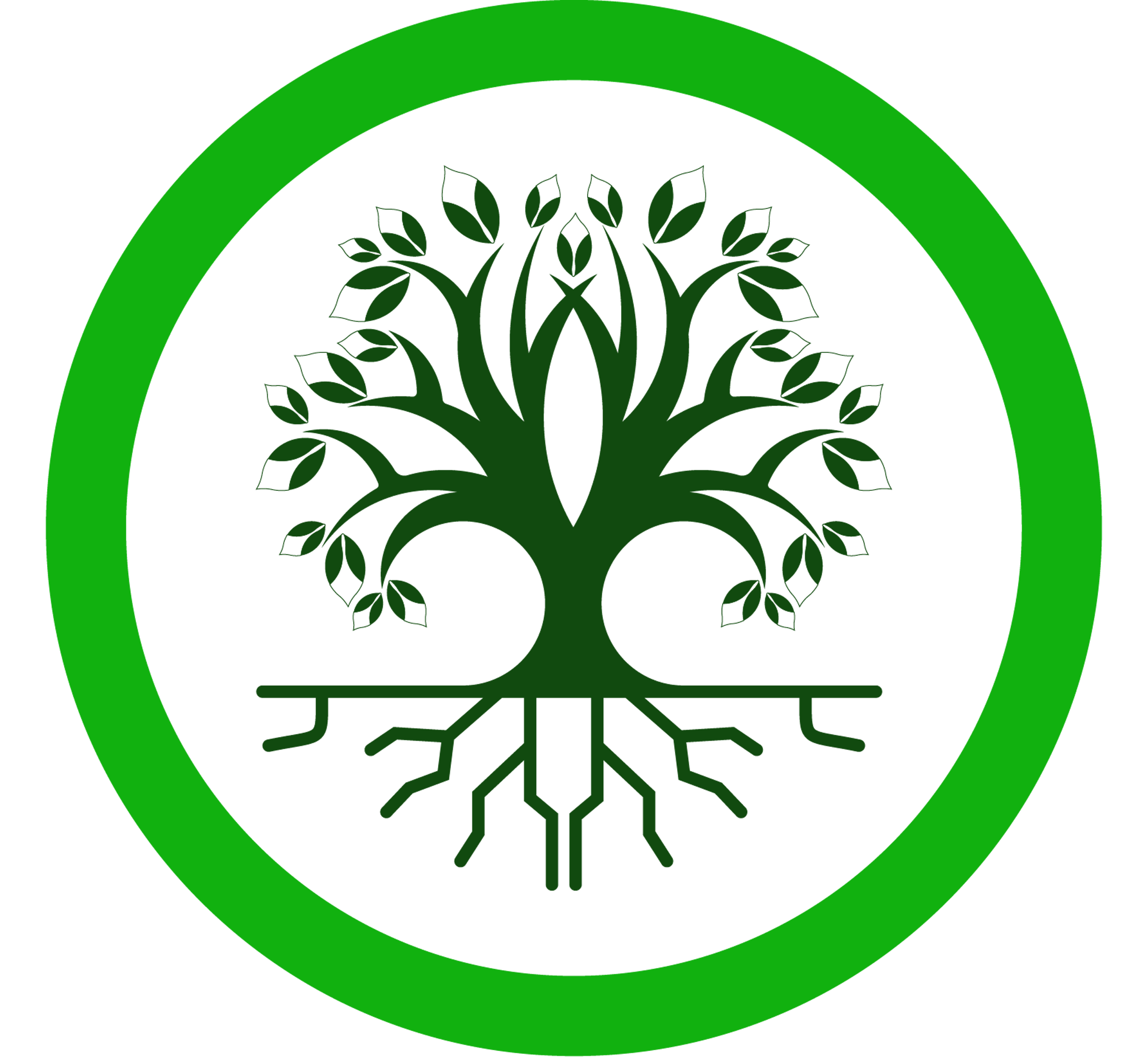 Bottola AI logo